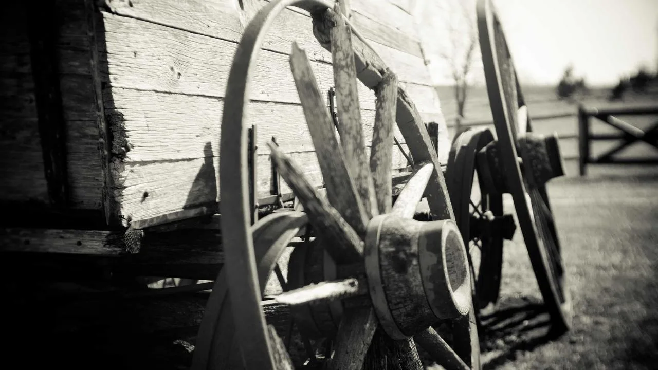 충격! 메타 부사장이 폭로한 ‘LLM의 종말’ 🤯 샘 올트먼은 왜 정면 반박했나?